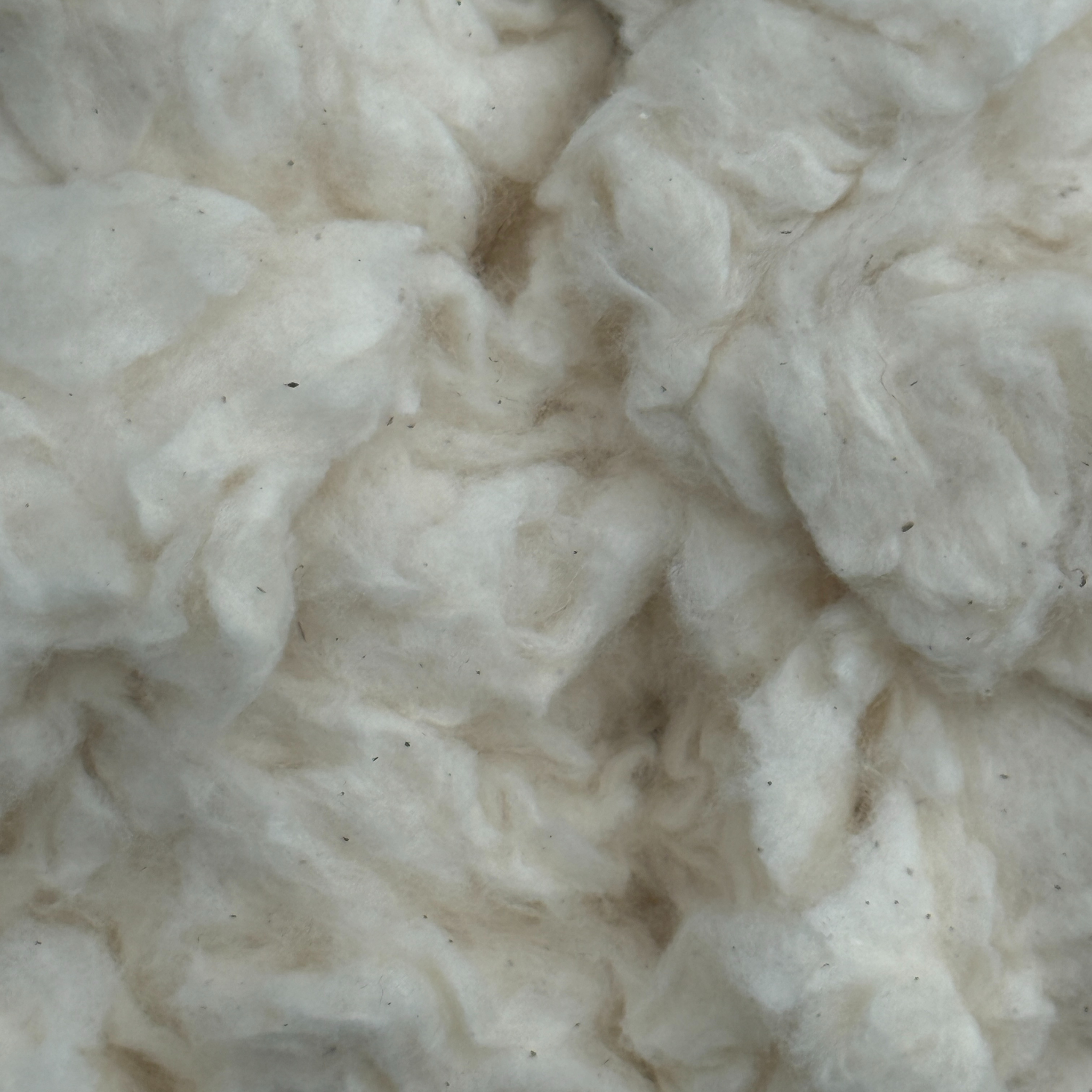 Cotton Comber Noil