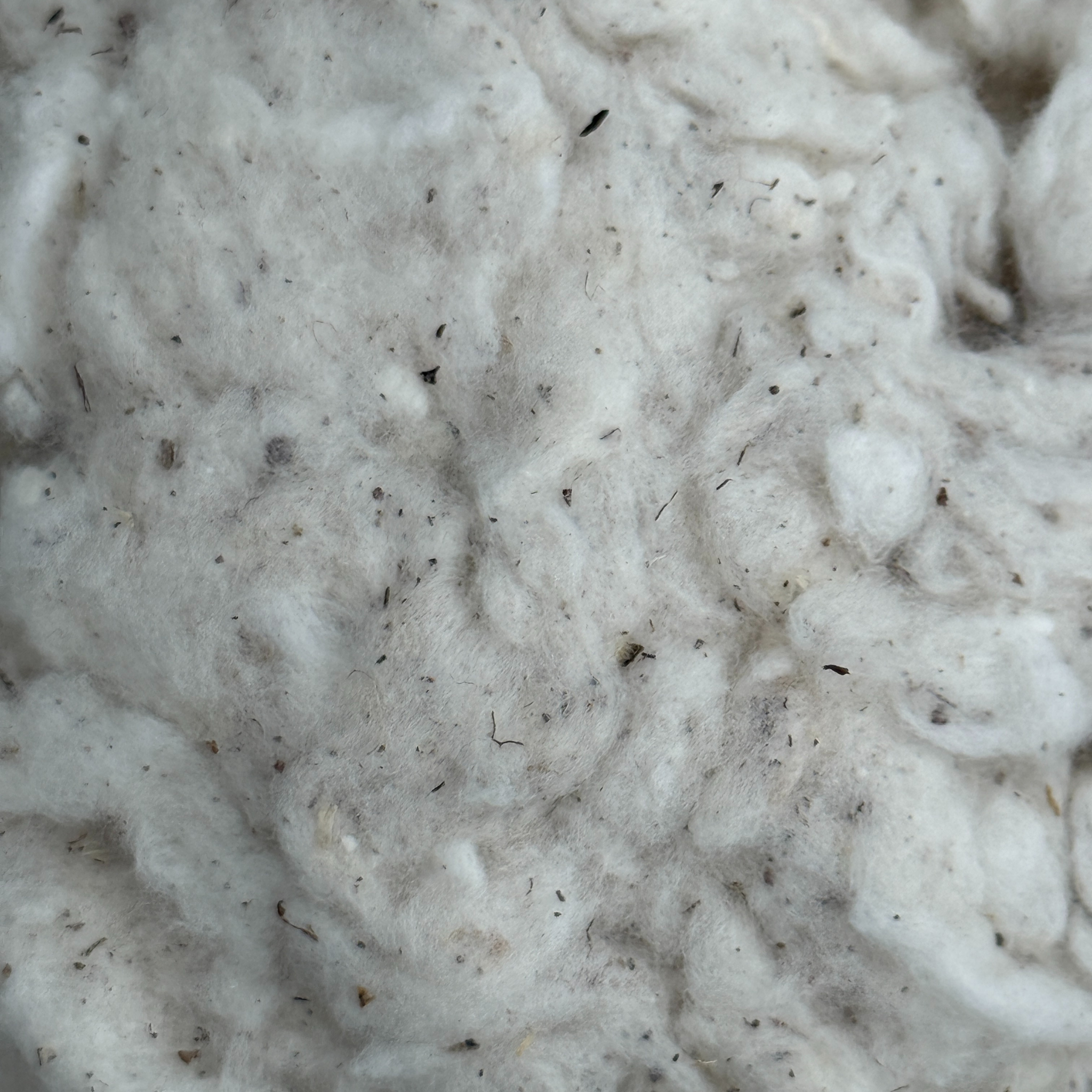 Cotton Waste Fiber